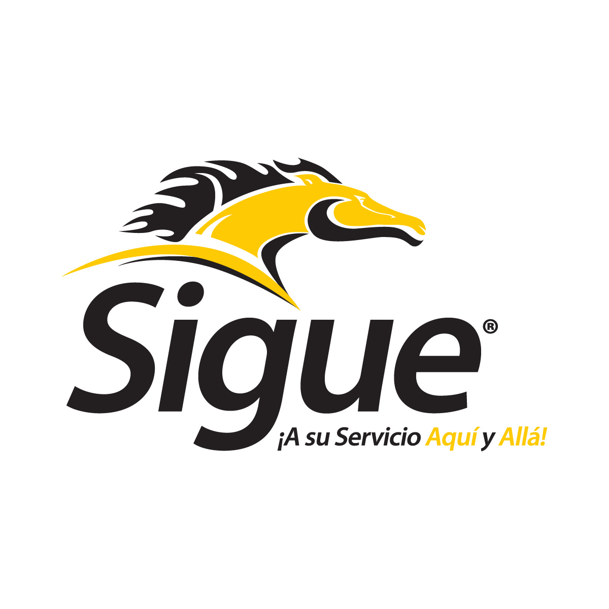 Sigue